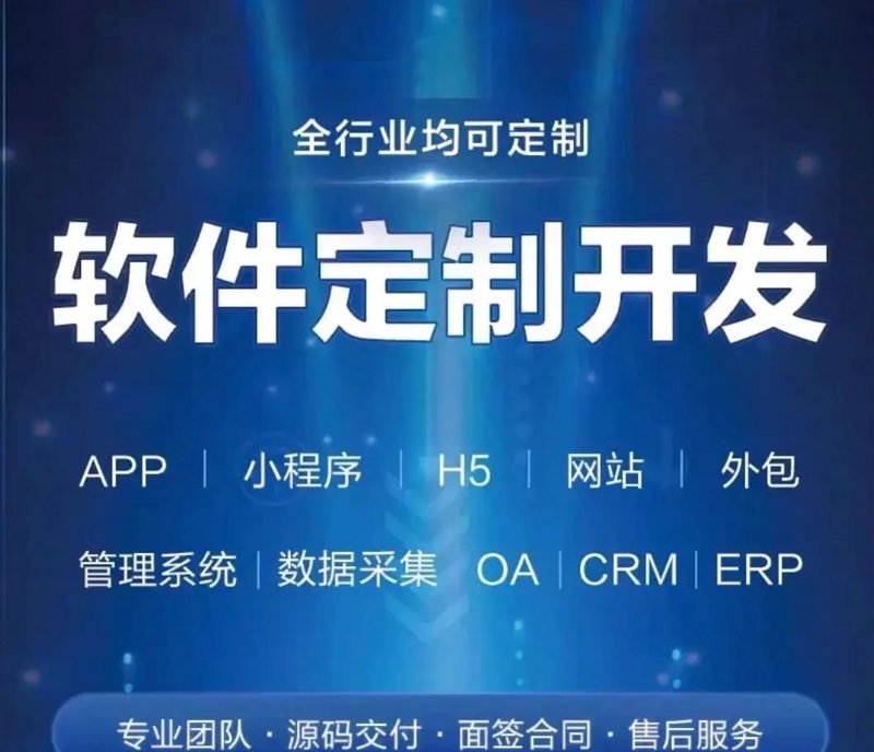 上海软件开发行业新趋势
